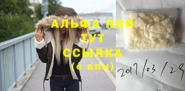 эйфоретик Баксан