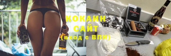 эйфоретик Баксан