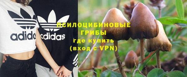 эйфоретик Баксан