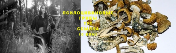 эйфоретик Баксан