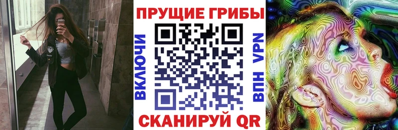 это телеграм  закладки  Зверево  Галлюциногенные грибы ЛСД 